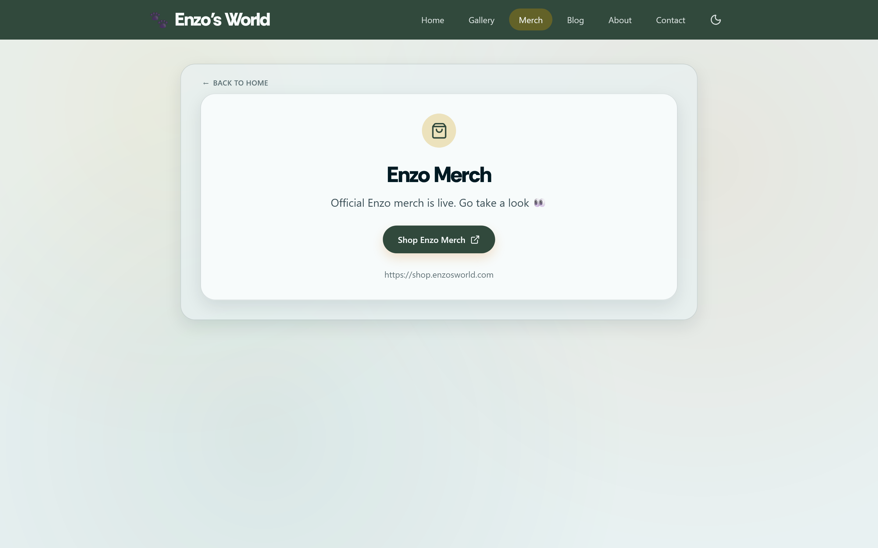 Merch page linking to Enzo's Fourthwall shop in light mode