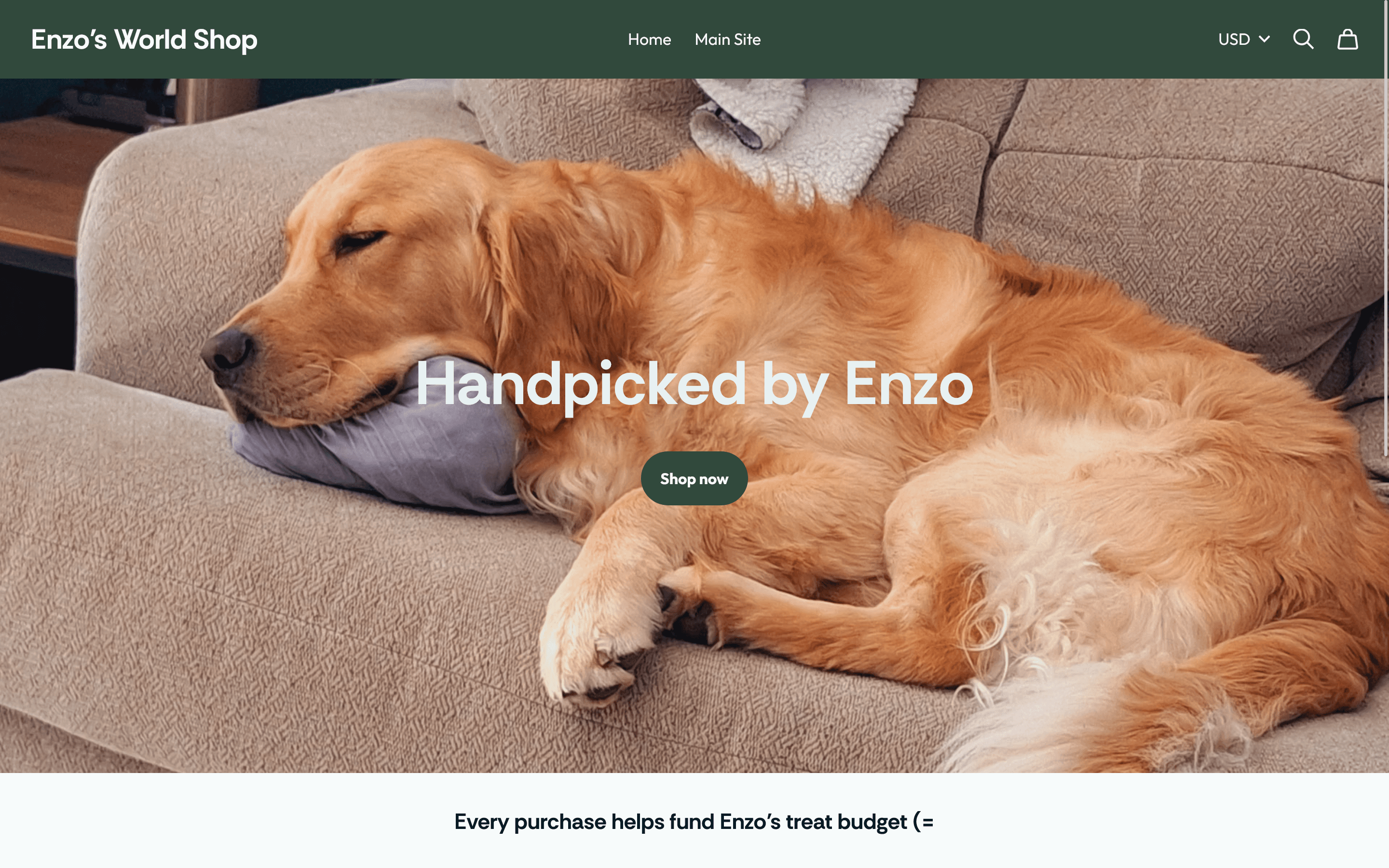 Enzo's World Shop landing page featuring Enzo and a Shop now link