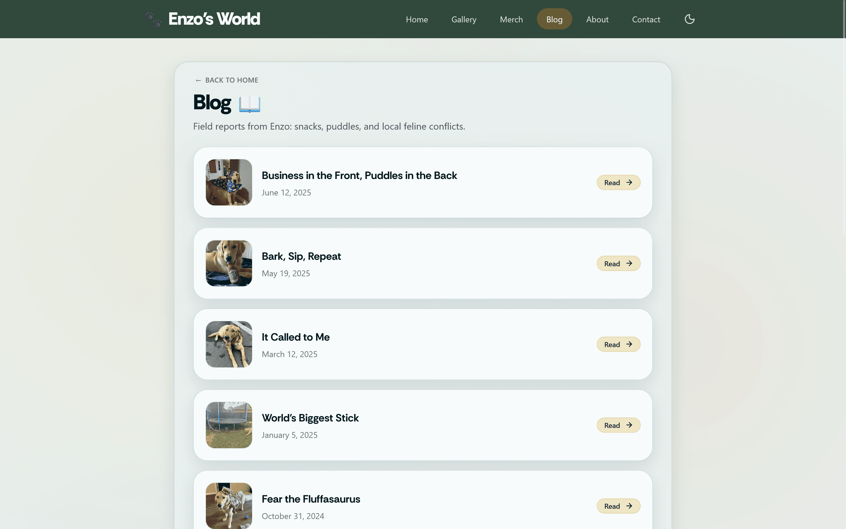 Blog page listing Enzo field reports in light mode