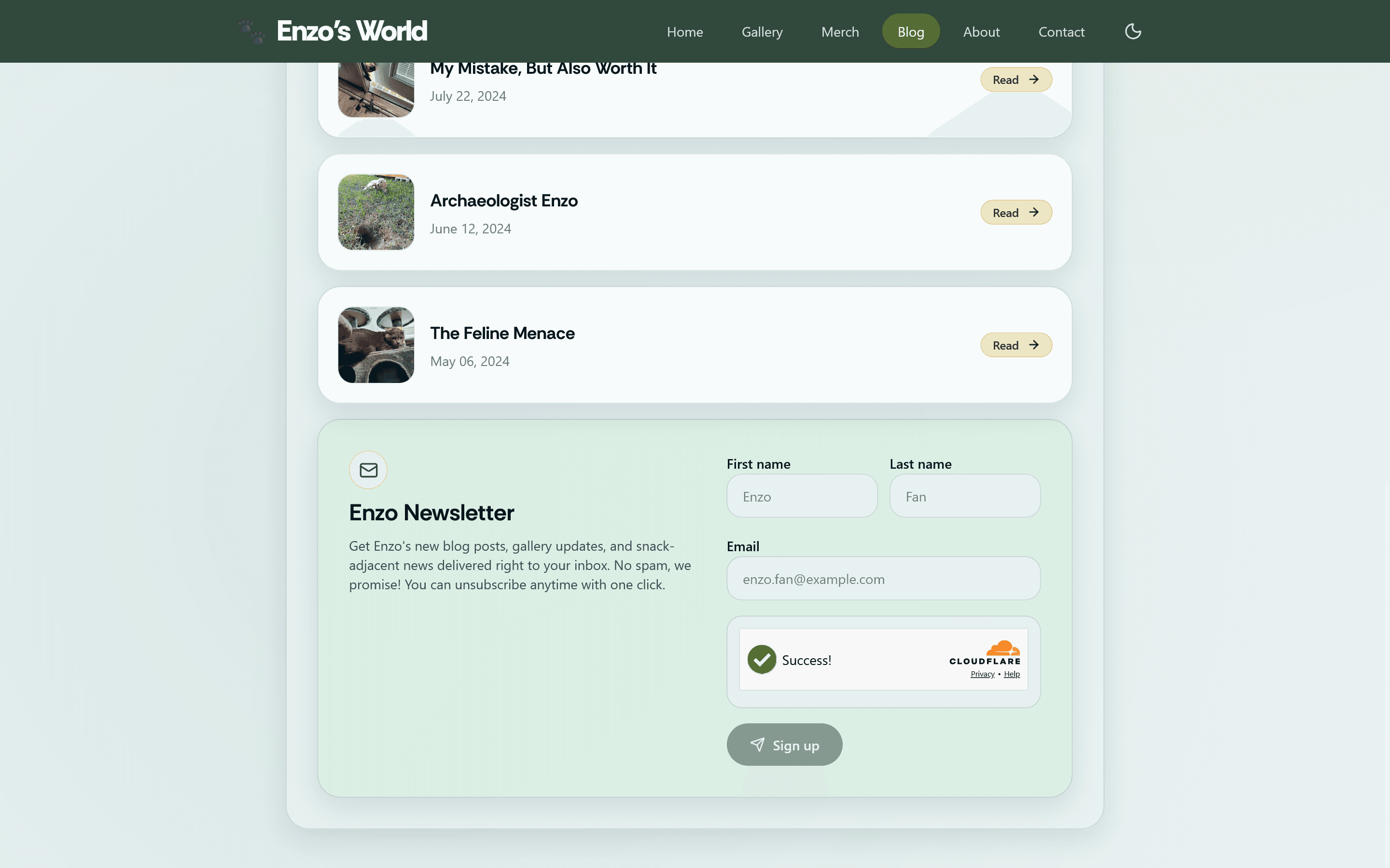 Enzo newsletter signup form with name, email, and Cloudflare verification in light mode
