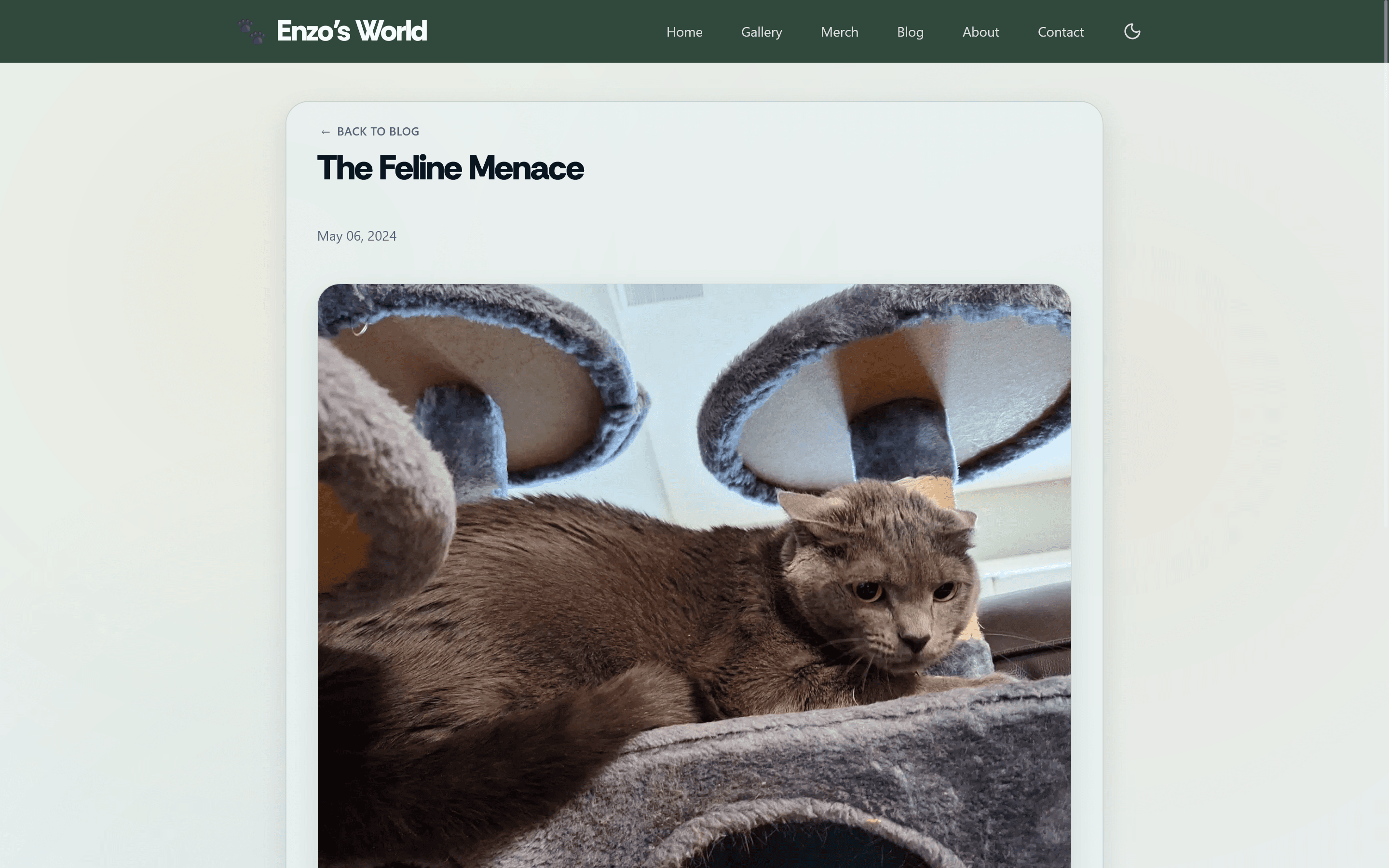 Individual blog post on Enzo's World in light mode