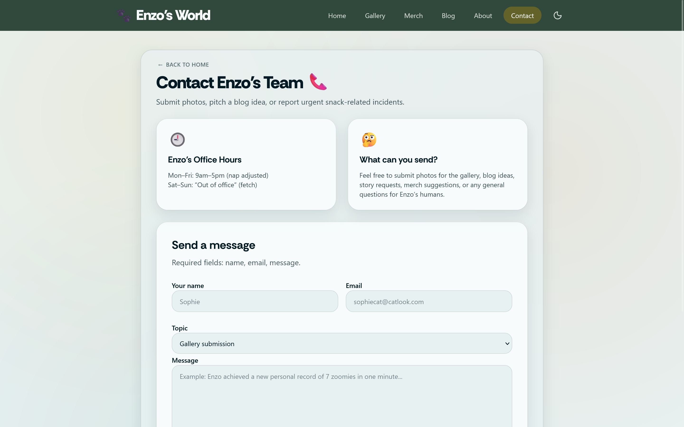 Enzo's World contact page with a message form in light mode
